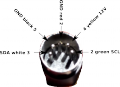 Plug connector.png