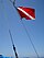 Diver Down Flag.jpg